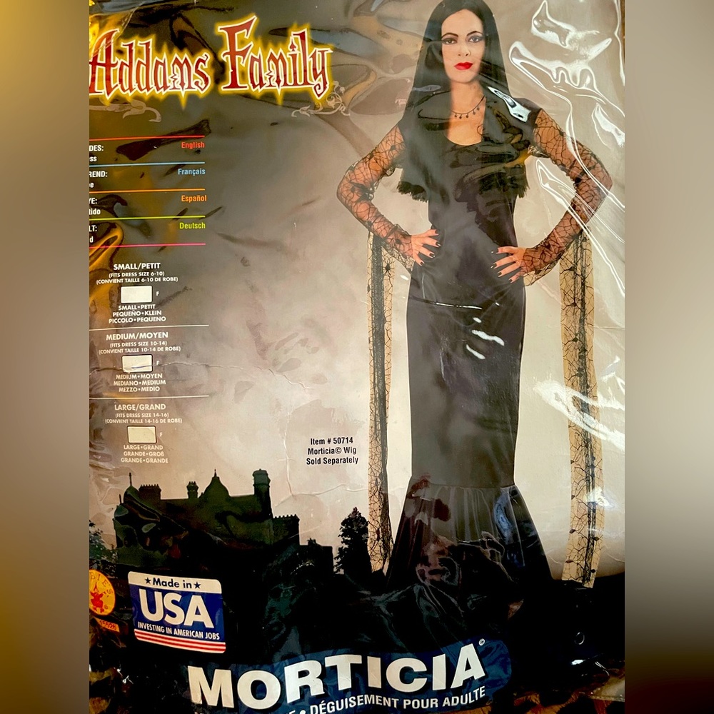 The Addams Family Morticia costume